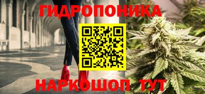 дмт Кандалакша
