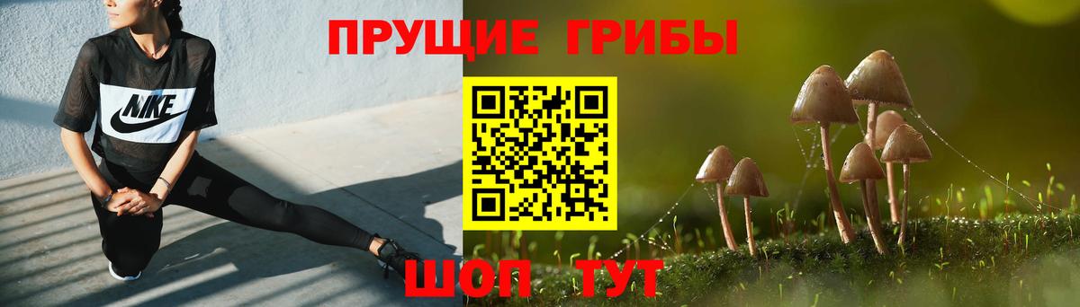 Псилоцибиновые грибы Cubensis  Галлюциногенные грибы Psilocybine cubensis  Вход с VPN  Черняховск 